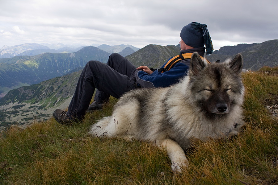 Salatín z Jalovca (Západné Tatry)