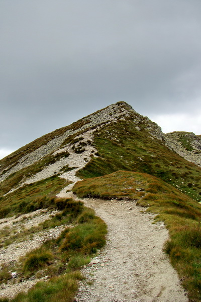 Salatín z Jalovca (Západné Tatry)