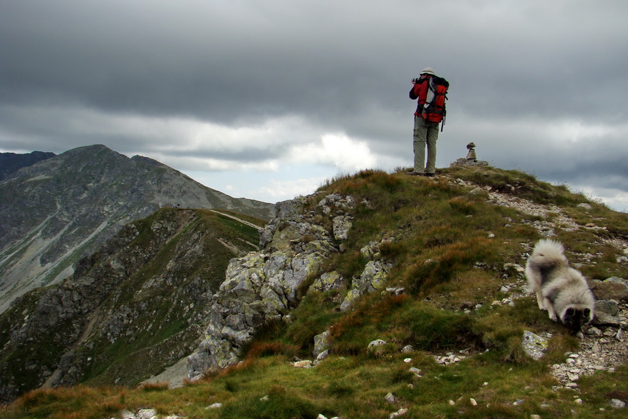 Salatín z Jalovca (Západné Tatry)