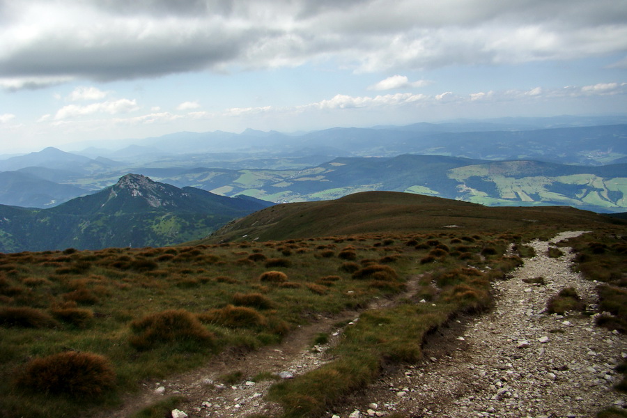 Salatín z Jalovca (Západné Tatry)