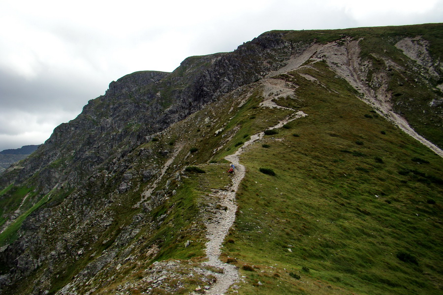 Salatín z Jalovca (Západné Tatry)