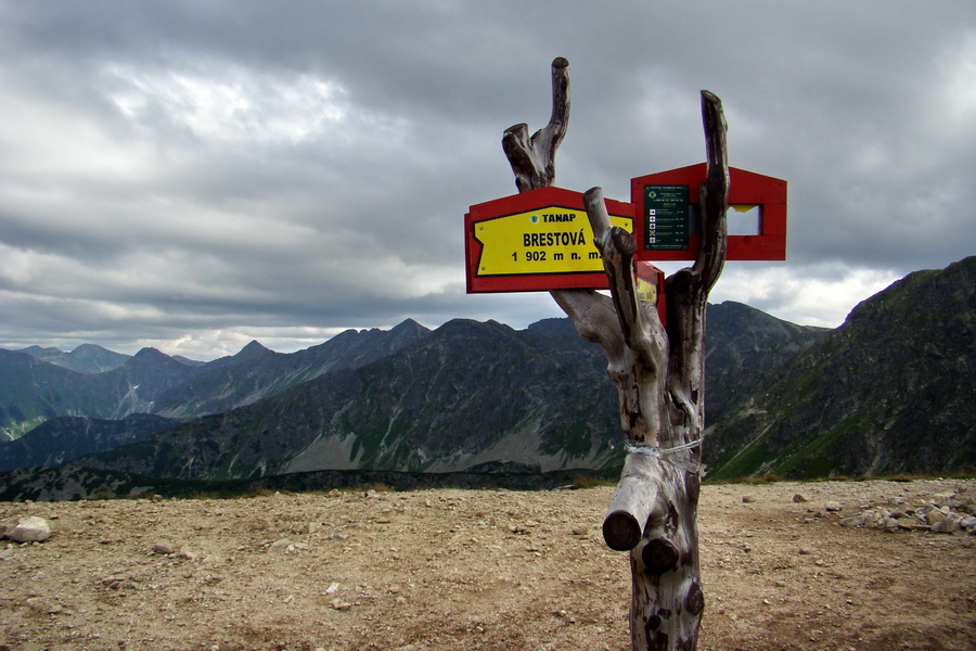 Salatín z Jalovca (Západné Tatry)