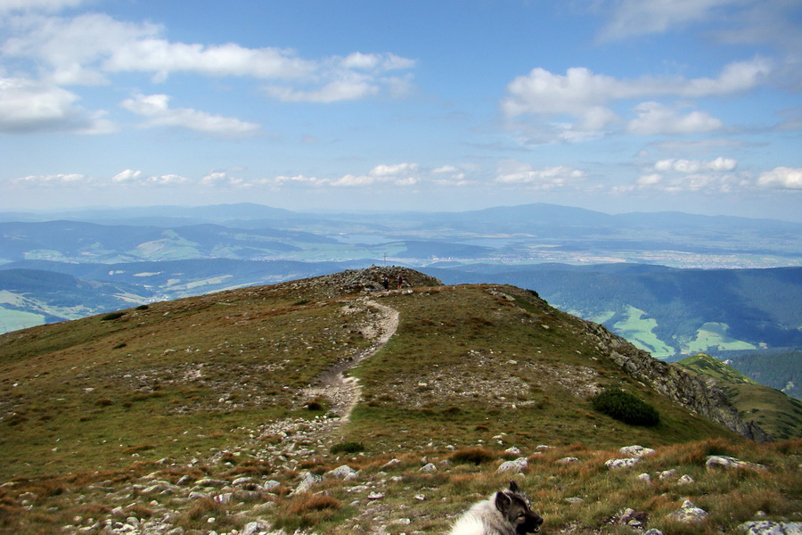 Salatín z Jalovca (Západné Tatry)