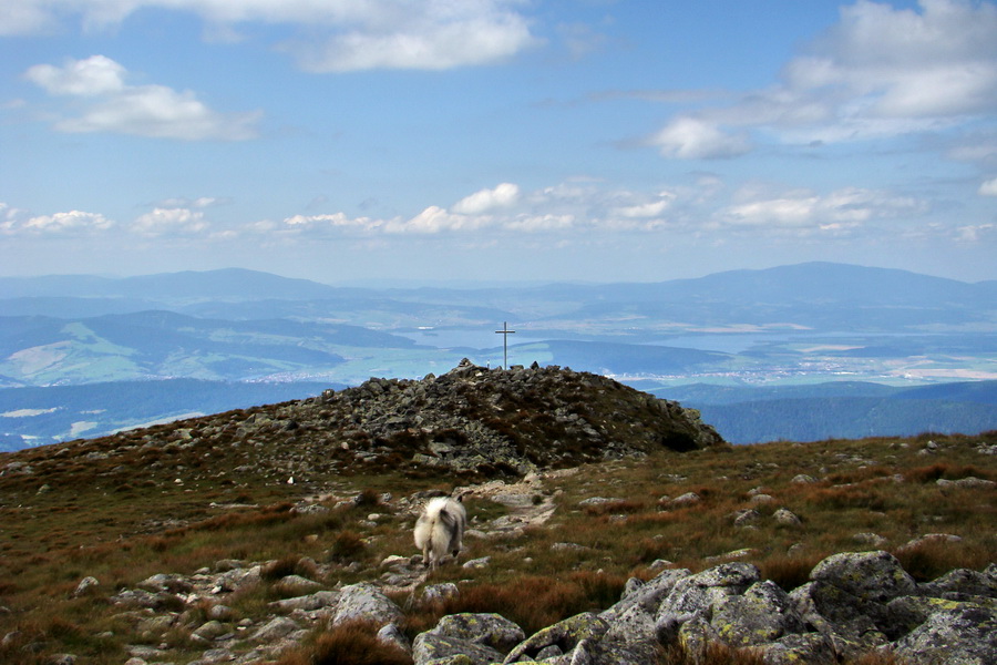 Salatín z Jalovca (Západné Tatry)