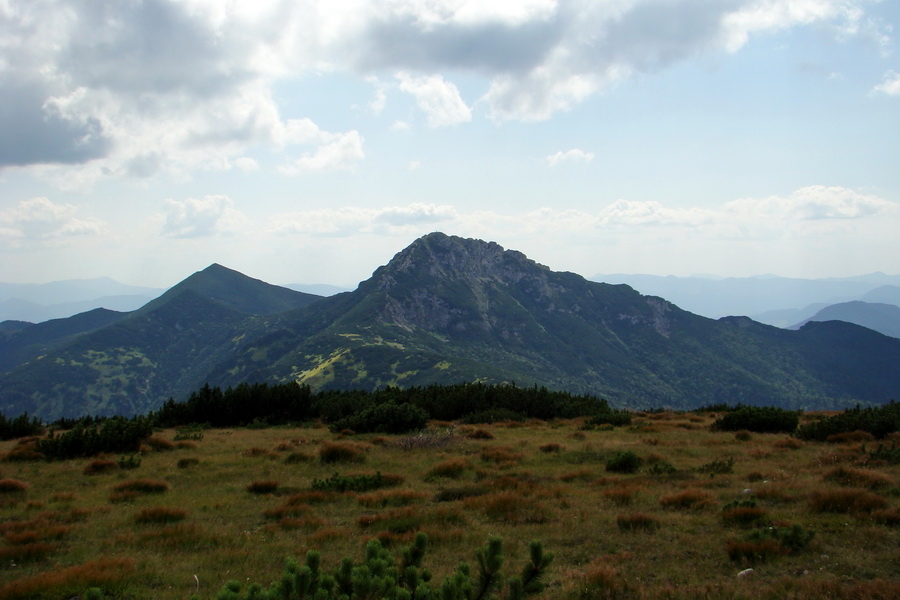 Salatín z Jalovca (Západné Tatry)