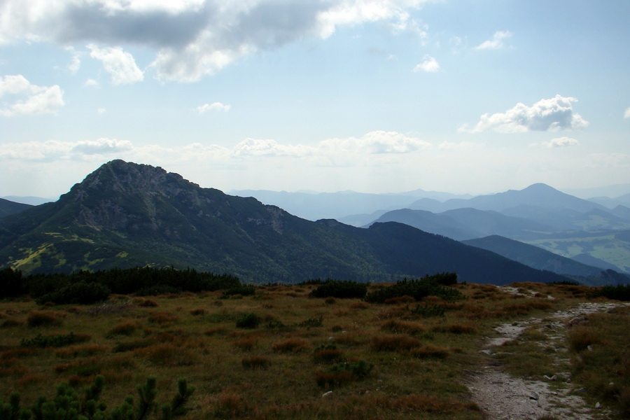 Salatín z Jalovca (Západné Tatry)