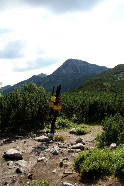 Salatín z Jalovca (Západné Tatry)