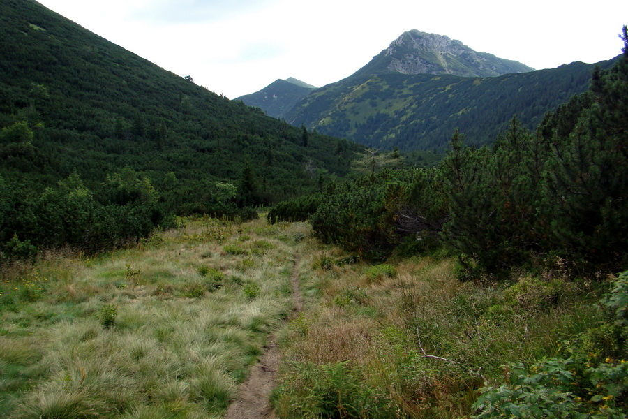 Salatín z Jalovca (Západné Tatry)