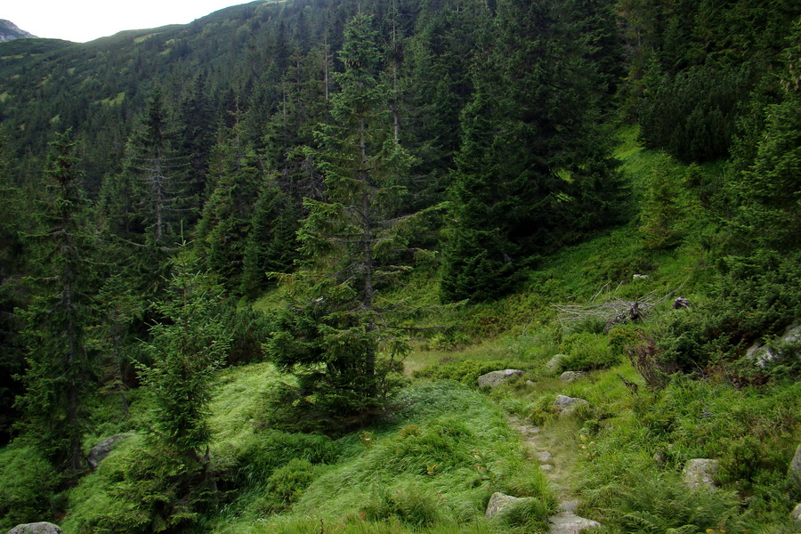 Salatín z Jalovca (Západné Tatry)