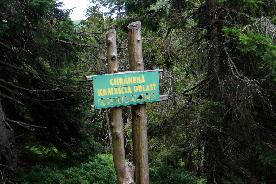 Salatín z Jalovca (Západné Tatry)