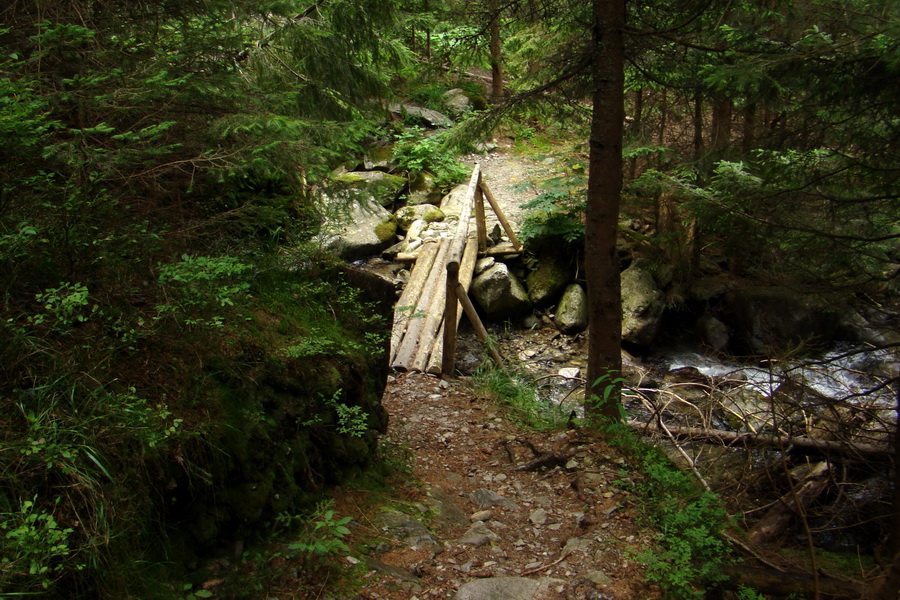 Salatín z Jalovca (Západné Tatry)