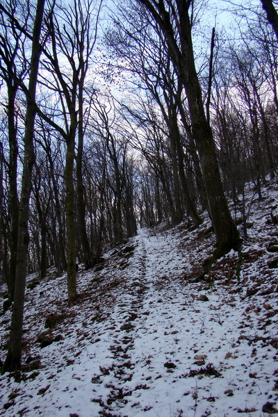 sedlo Železná brána z Drienova (Slovenský kras)