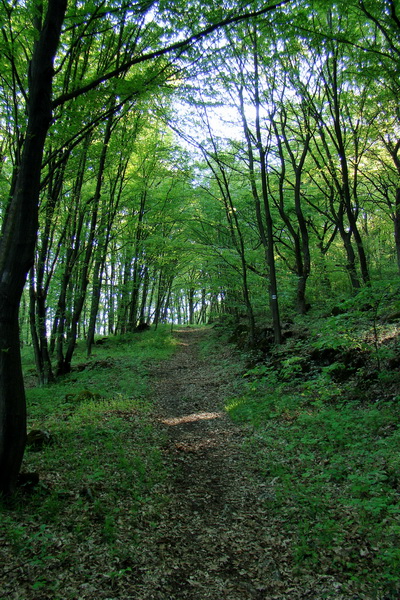 Silická planina (Slovenský kras)