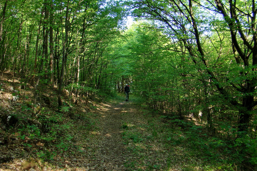 Silická planina (Slovenský kras)