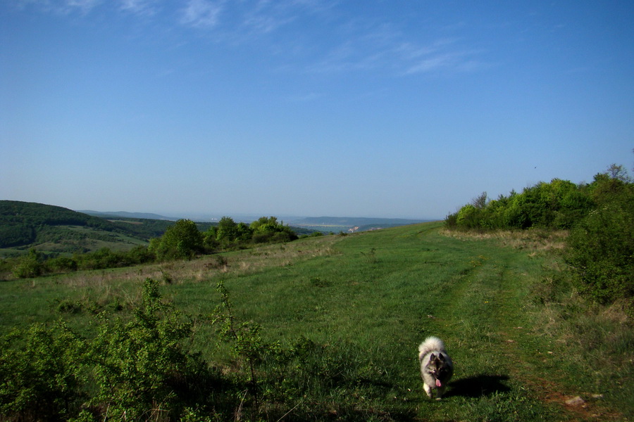 Silická planina (Slovenský kras)