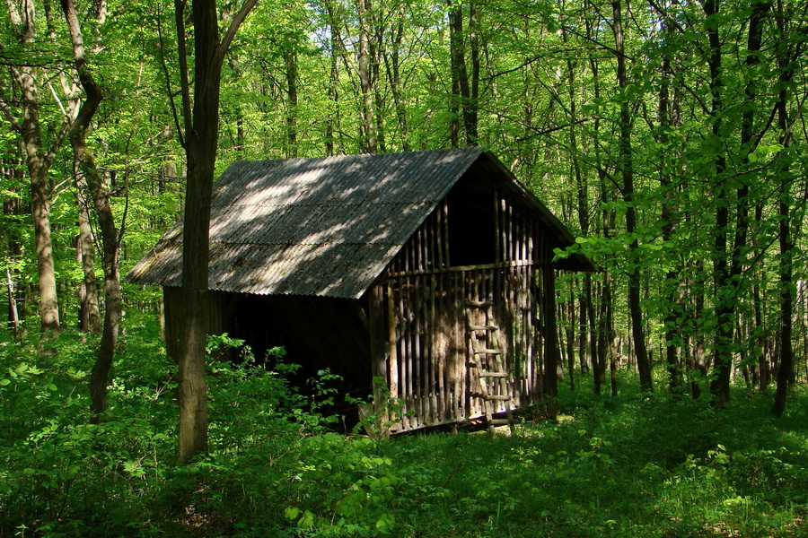 Silická planina (Slovenský kras)