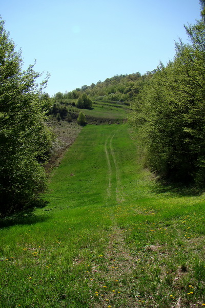 Silická planina (Slovenský kras)