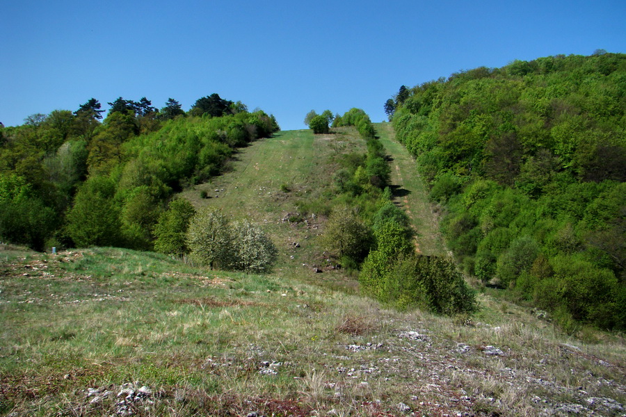 Silická planina (Slovenský kras)