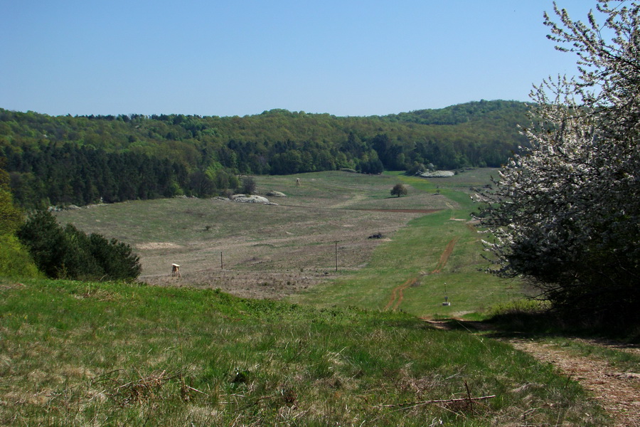 Silická planina (Slovenský kras)