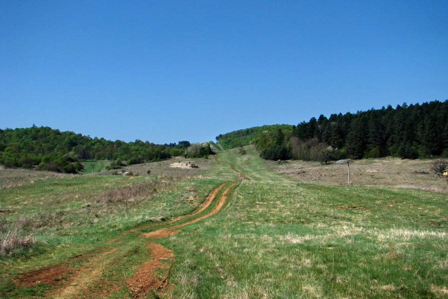 Silická planina (Slovenský kras)