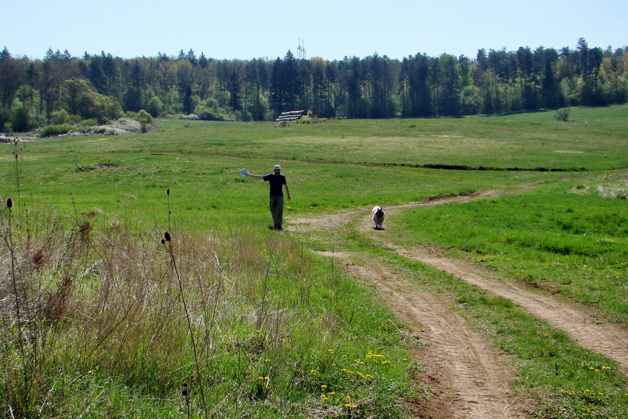 Silická planina (Slovenský kras)