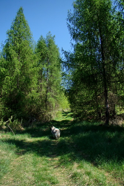 Silická planina (Slovenský kras)