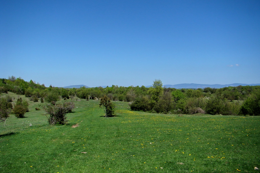 Silická planina (Slovenský kras)