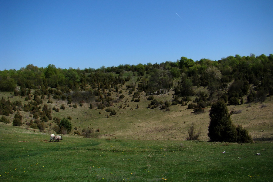 Silická planina (Slovenský kras)