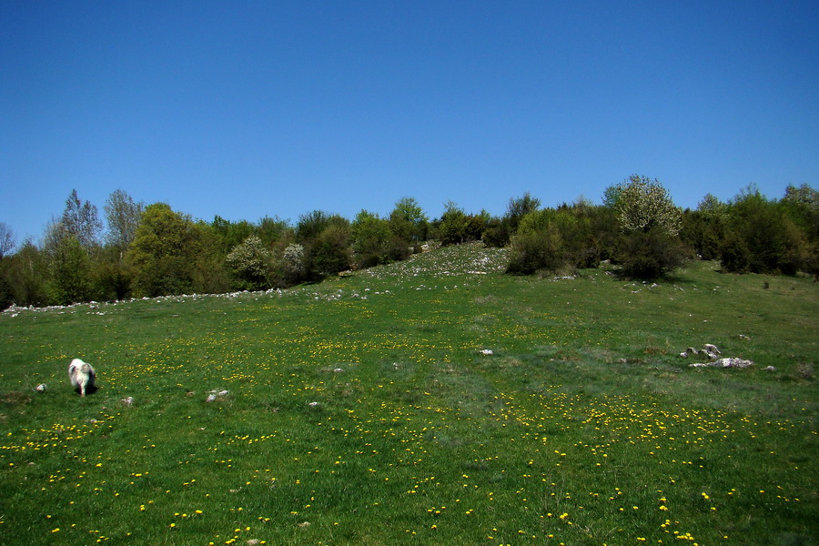 Silická planina (Slovenský kras)