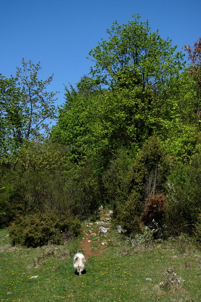 Silická planina (Slovenský kras)