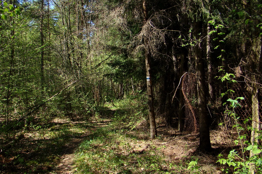 Silická planina (Slovenský kras)