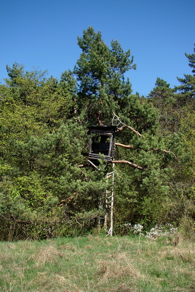 Silická planina (Slovenský kras)