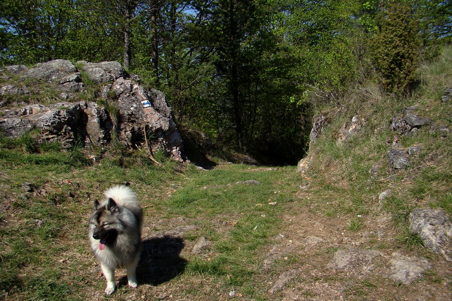 Silická planina (Slovenský kras)