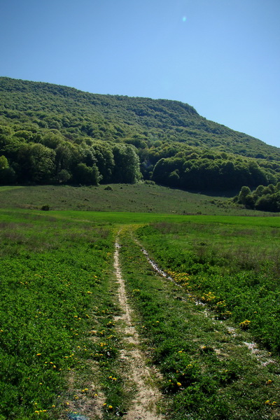 Silická planina (Slovenský kras)