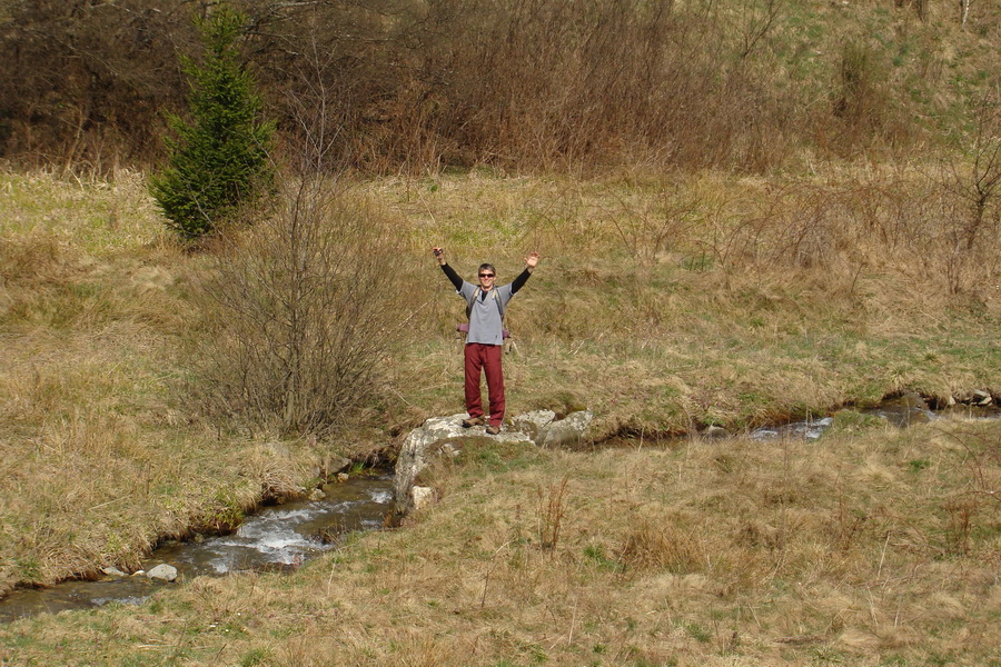 Skalisko z Nálepkova (Volovské vrchy)