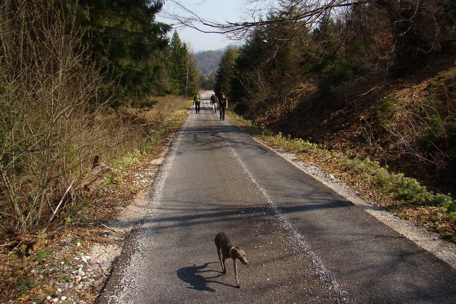 Skalisko z Nálepkova (Volovské vrchy)