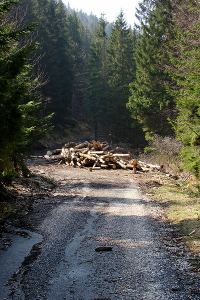 Skalisko z Nálepkova (Volovské vrchy)