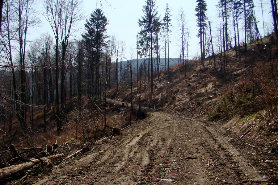 Skalisko z Nálepkova (Volovské vrchy)