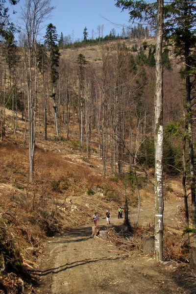 Skalisko z Nálepkova (Volovské vrchy)