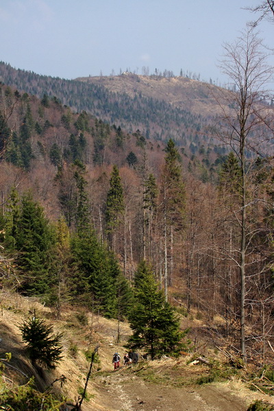 Skalisko z Nálepkova (Volovské vrchy)