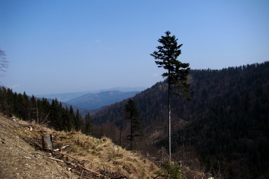 Skalisko z Nálepkova (Volovské vrchy)