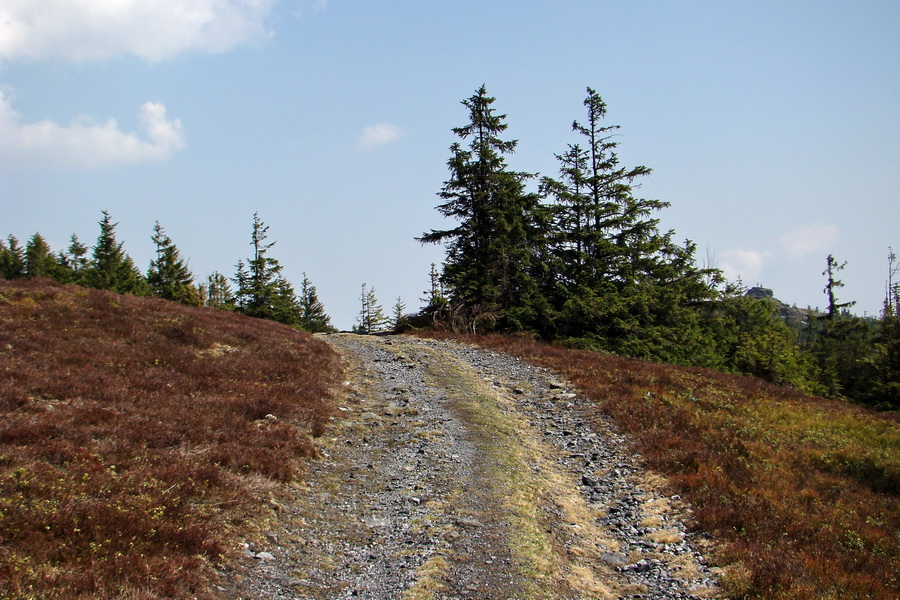 Skalisko z Nálepkova (Volovské vrchy)