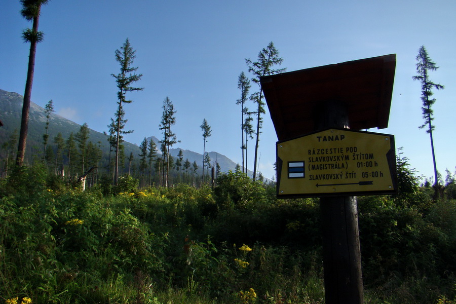 Slavkovský šít so psom (Vysoké Tatry)