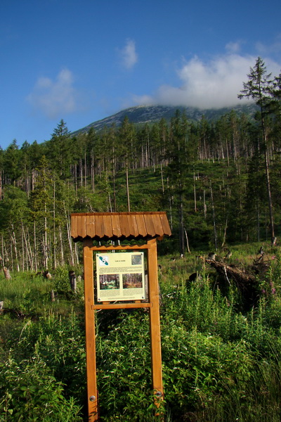 Slavkovský šít so psom (Vysoké Tatry)