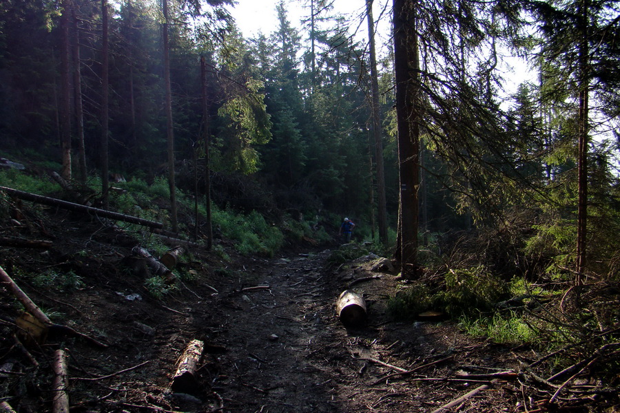 Slavkovský šít so psom (Vysoké Tatry)