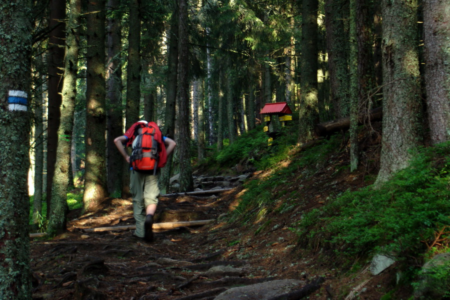 Slavkovský šít so psom (Vysoké Tatry)