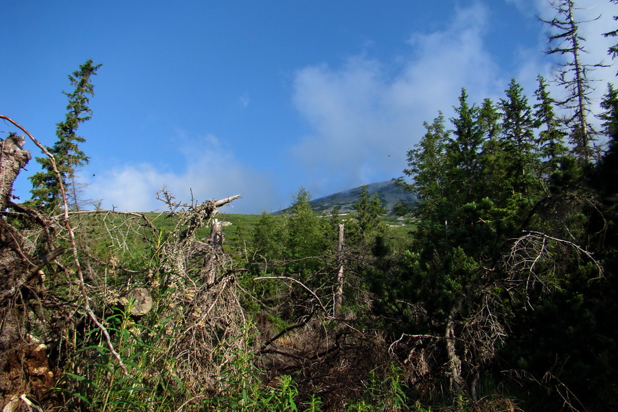 Slavkovský šít so psom (Vysoké Tatry)