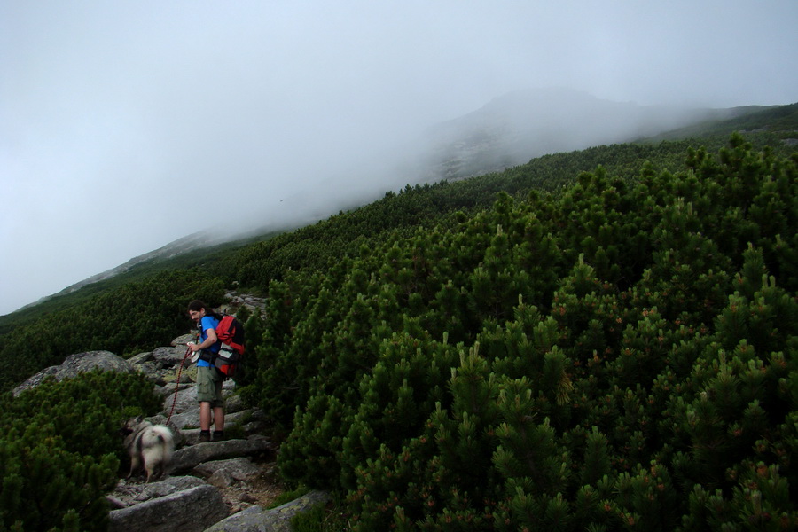 Slavkovský šít so psom (Vysoké Tatry)