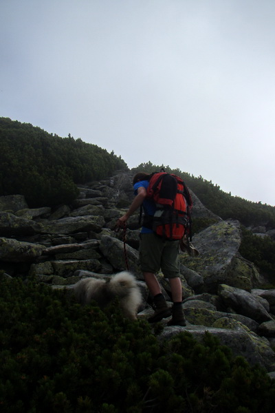 Slavkovský šít so psom (Vysoké Tatry)