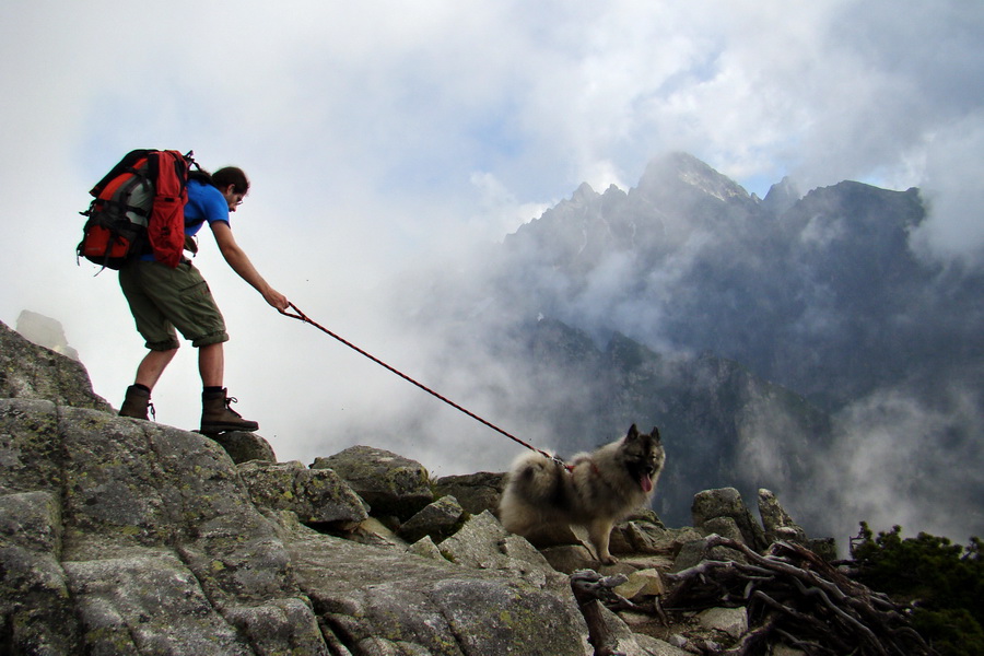 Slavkovský šít so psom (Vysoké Tatry)